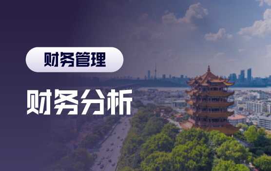 财务报表分析实战：让数据赋能业务决策