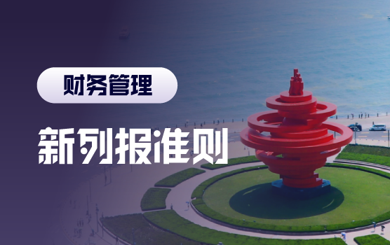企业会计准则新政：新列报准则难点解析与实务应对